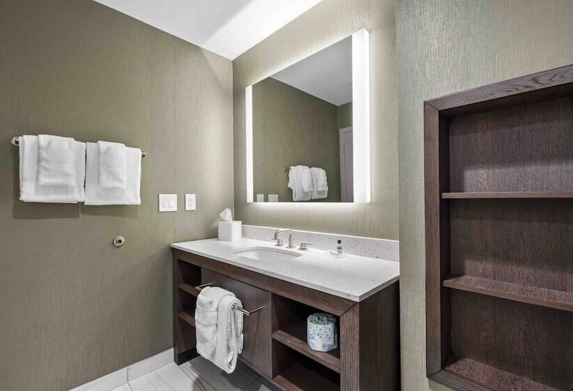 Люкс, Residence Inn By Marriott Atlanta Covington
