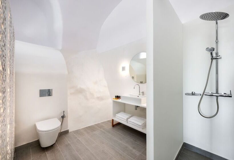 Полулюкс с Бассейном, Palm Island Suites
