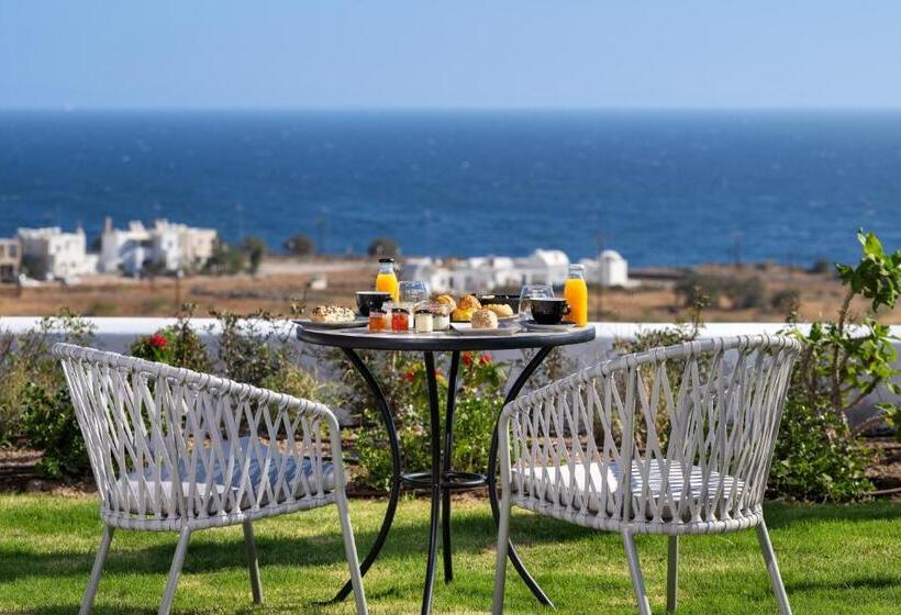Люкс, Palm Island Suites