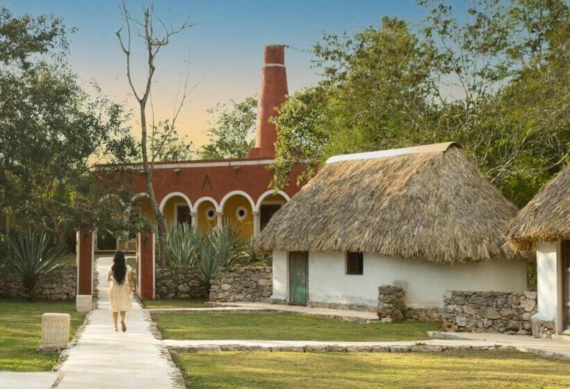 スタンダードルーム, Hacienda Ticum