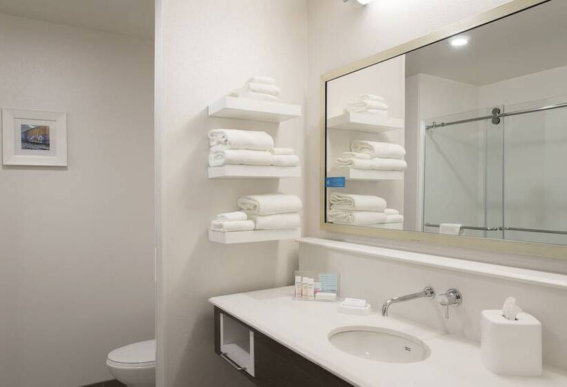 장애인을 위한 킹사이즈 침대 스탠다드 룸, Hampton Inn & Suites Grand Rapids Downtown