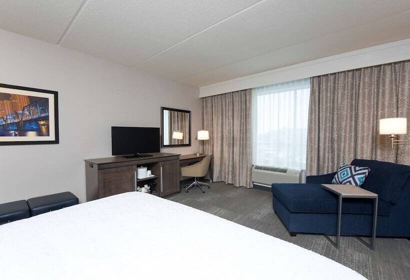 장애인을 위한 킹사이즈 침대 스탠다드 룸, Hampton Inn & Suites Grand Rapids Downtown