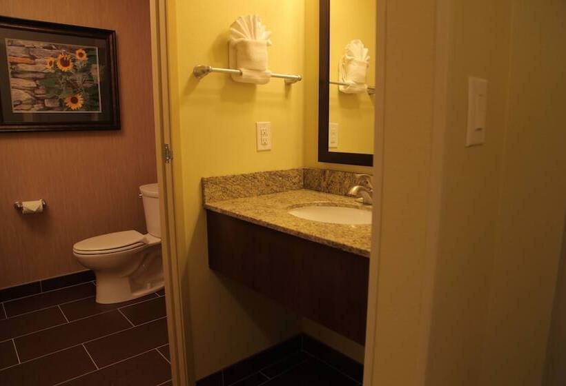 Номер Deluxe, Little Missouri Inn & Suites New Town