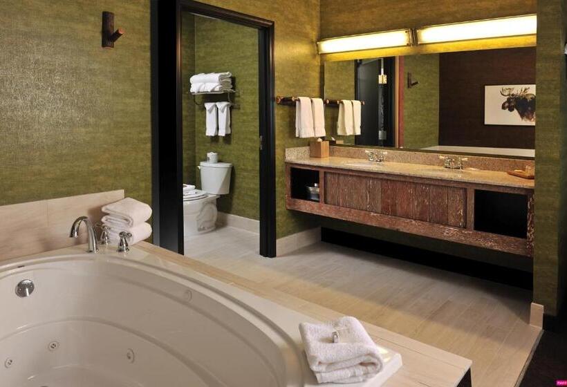 Полулюкс, Stoney Creek Hotel Kansas City   Independence