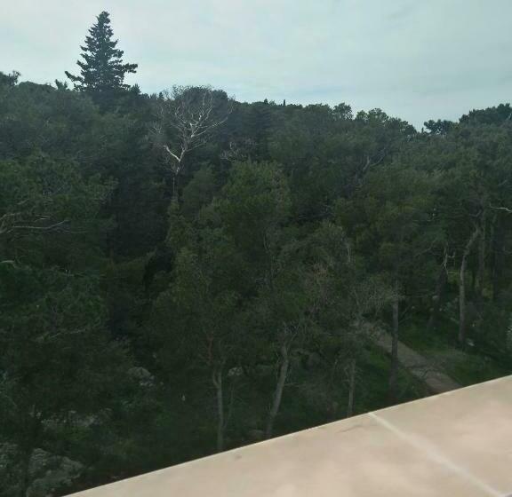 Номер Deluxe, Aparthotel Miramare