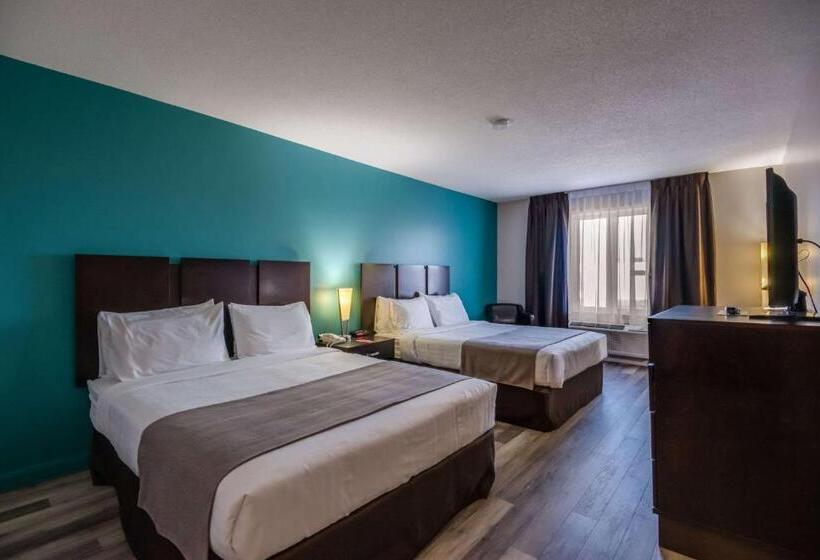 Номер Стандарт, Econo Lodge Inn & Suites