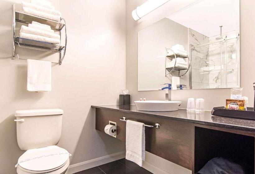 Номер Стандарт, Econo Lodge Inn & Suites