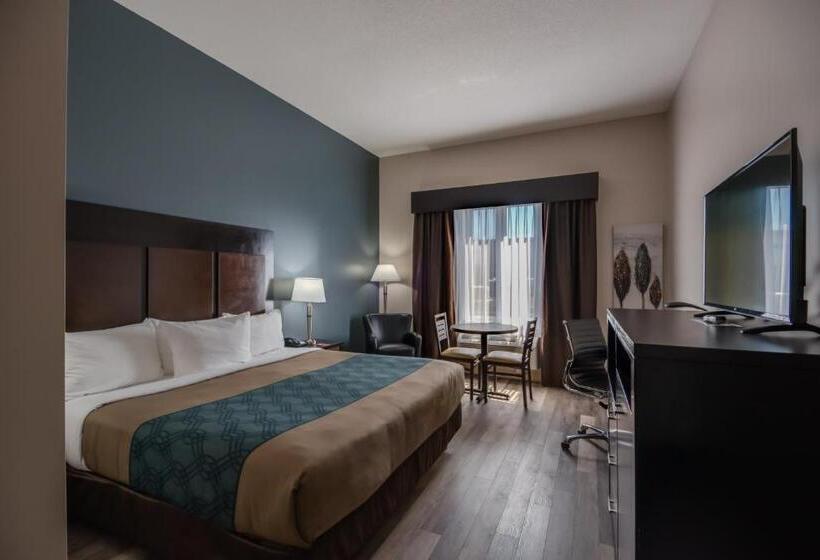 Стандартный Номер Кровать Кинг, Econo Lodge Inn & Suites