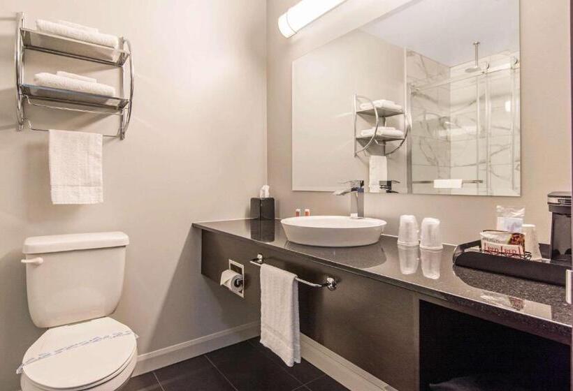 Люкс Кровать Кинг, Econo Lodge Inn & Suites