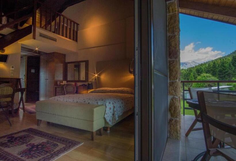 اتاق دوبلکس, Orizontes Tzoumerkon Hotel Resort