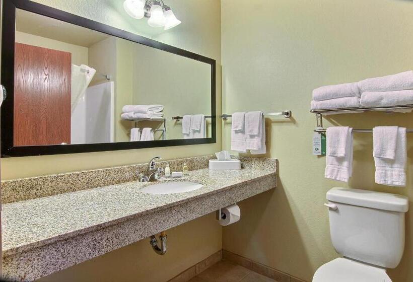 Номер Deluxe, Cobblestone Hotel And Suites   Jefferson