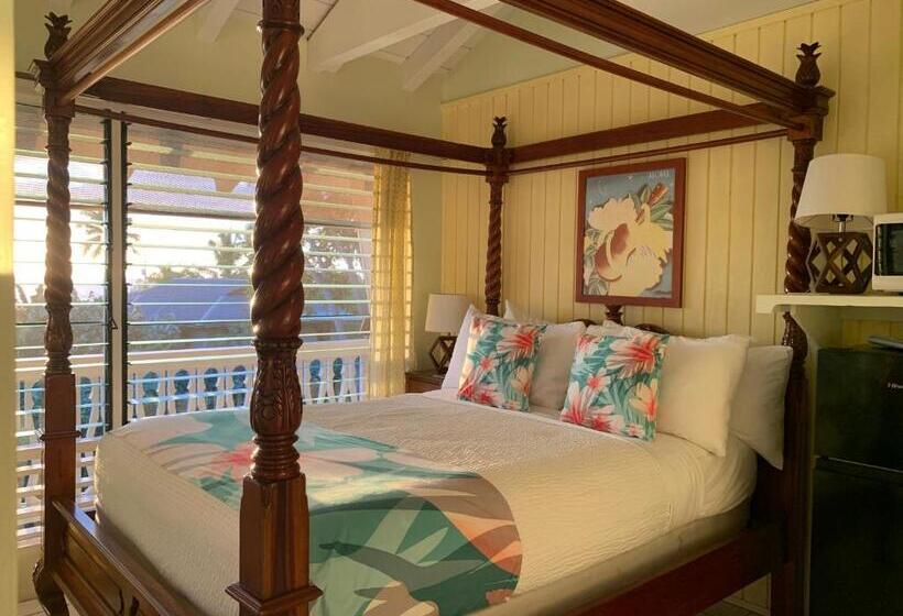 Номер Стандарт, Big Island Retreat