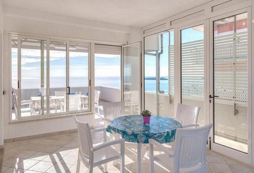 Apartamento Superior 1 Dormitório, Residence La Punta