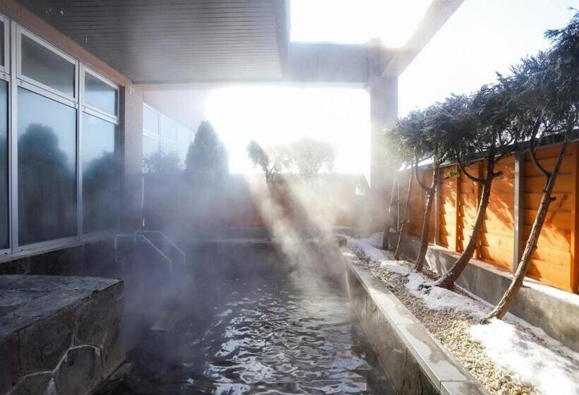 Студия Стандарт, Japanese Auberge Plaza Ryokufu Natural Hot Spring   Vacation Stay 03240v