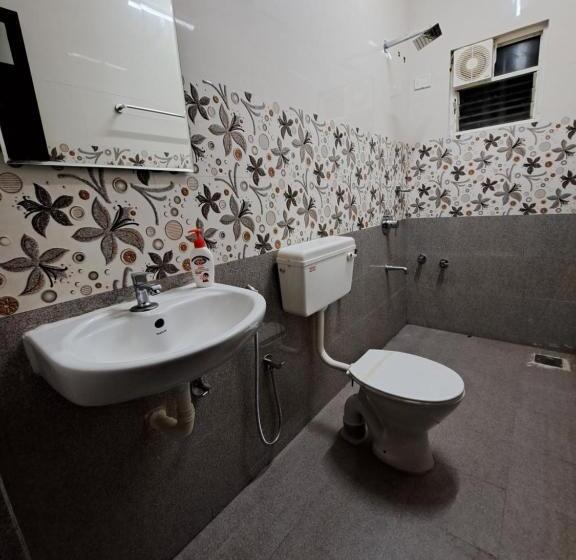 Номер Deluxe, D Souza S Guest House
