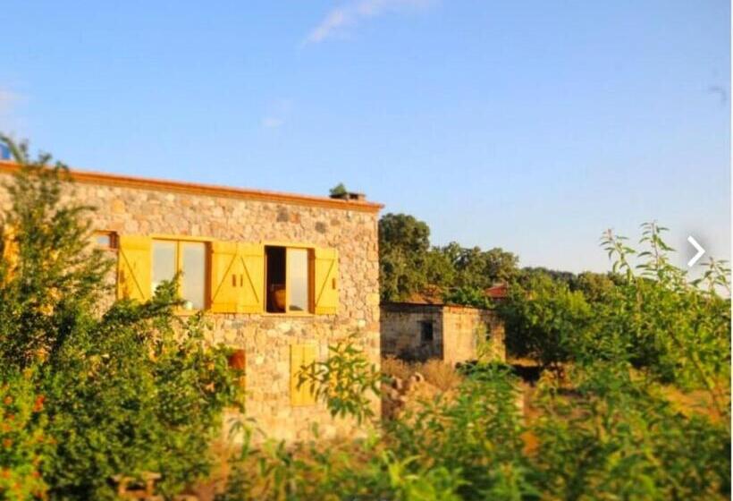 Апартаменты 1 Спальня, Room Close To Assos In Ayvacik