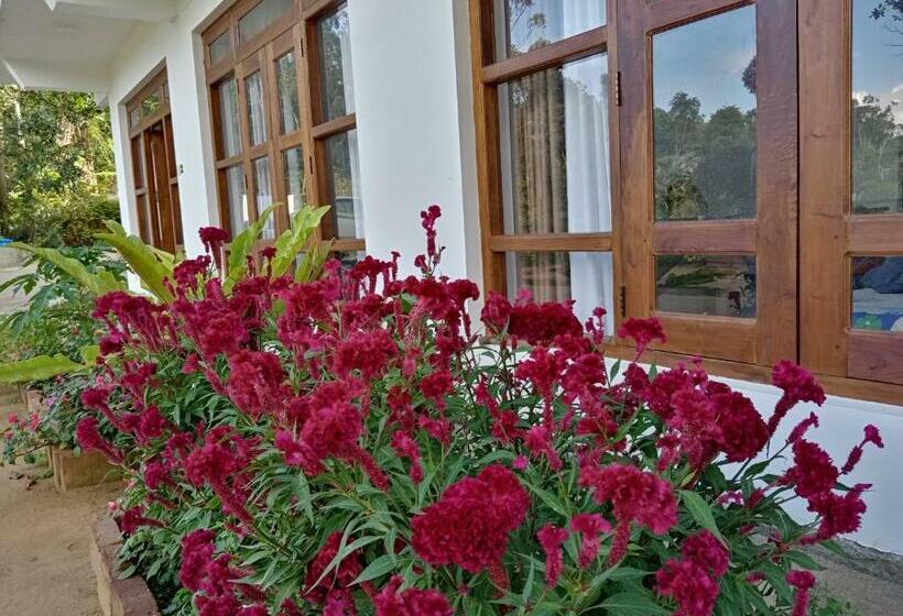 Номер Стандарт Вид на Горы, Ella Gama Village Guest House