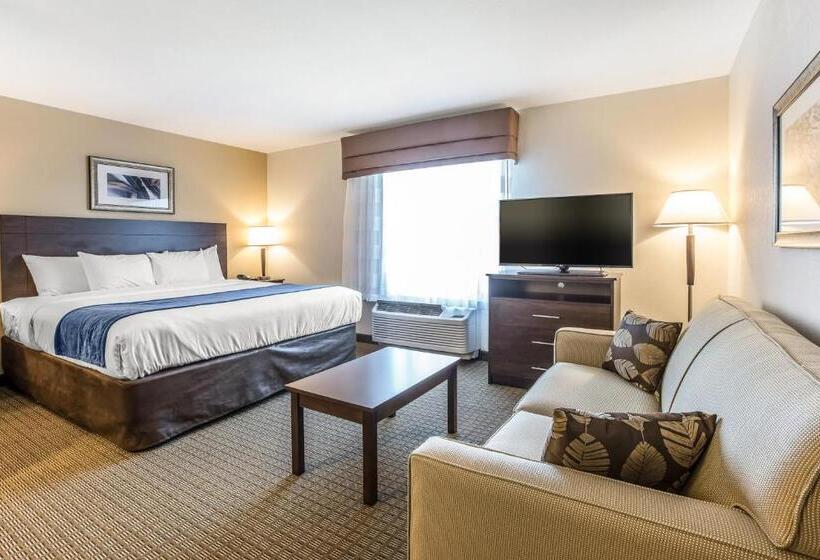Люкс Кровать Кинг, Mainstay Suites Cartersville