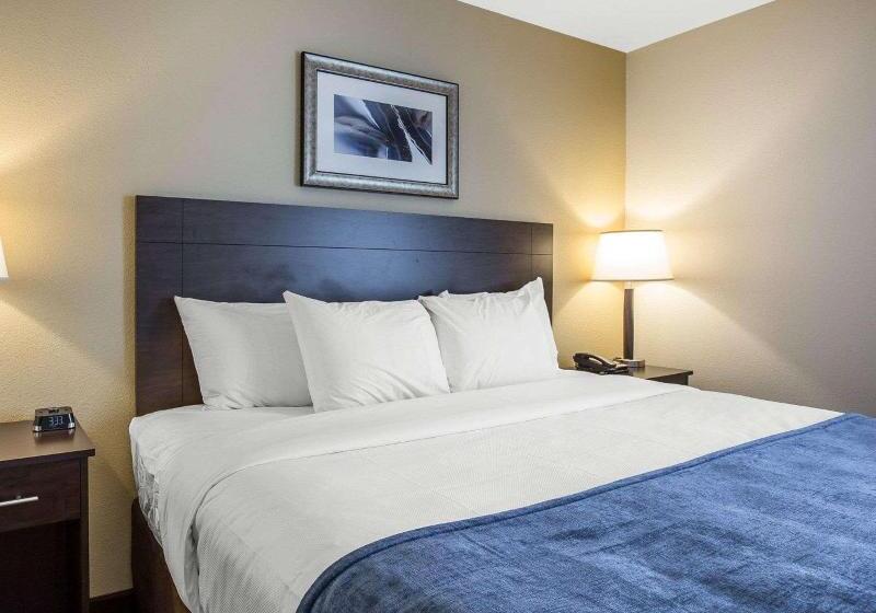 Люкс Кровать Кинг, Mainstay Suites Cartersville