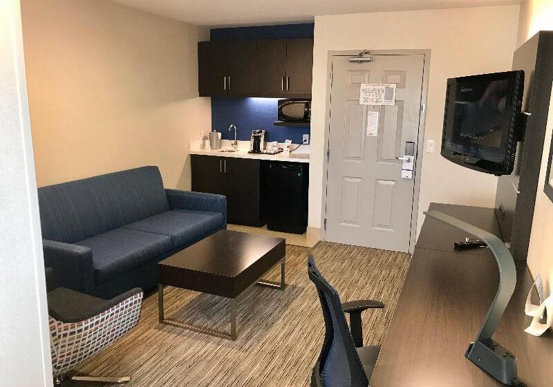 スタンダードスタジオ, Home2 Suites By Hilton Atlanta Downtown