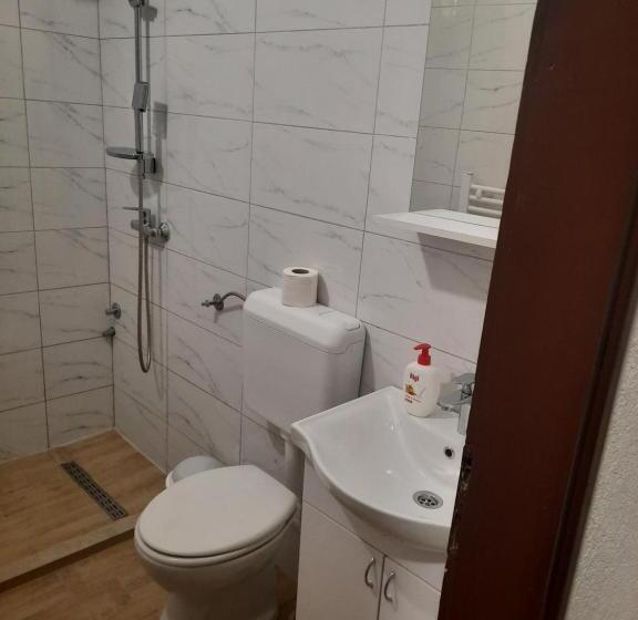 استودیو خانوادگی, Apartmani Aleksandar