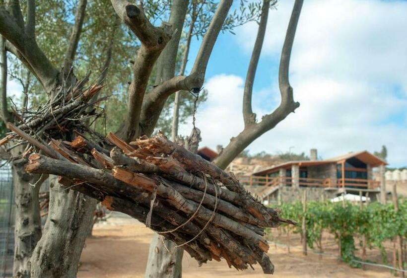 标准房带园景, Villa Quinta Estrella