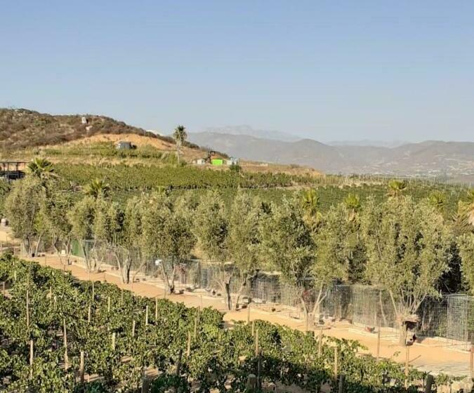 标准房带园景, Villa Quinta Estrella
