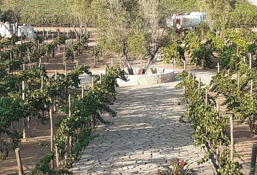 标准间带阳台, Villa Quinta Estrella