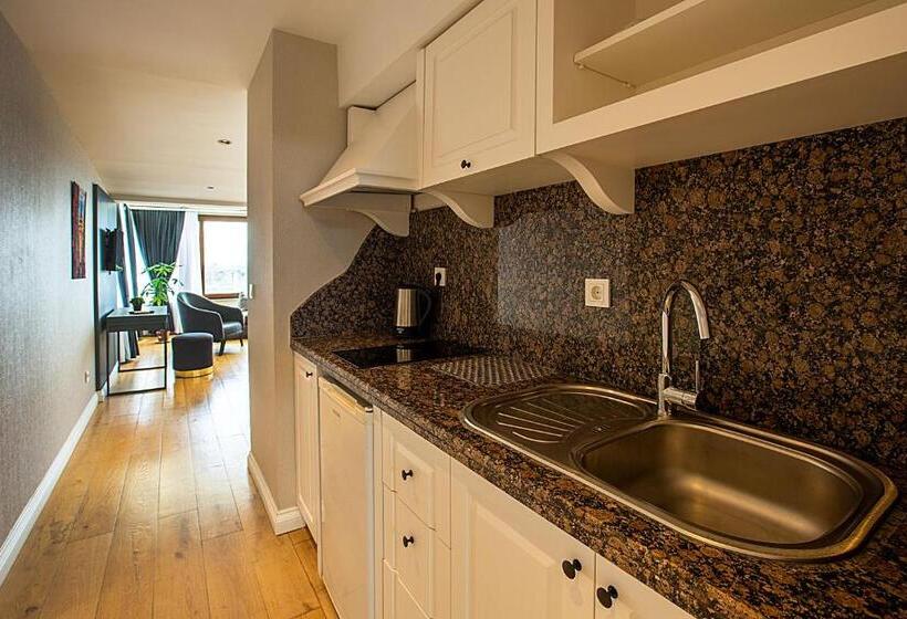 سوییت لوکس, Moss Suites