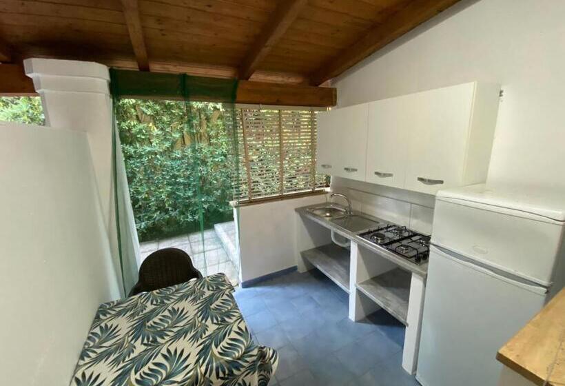 Apartamento 1 Dormitório, Residence Eden