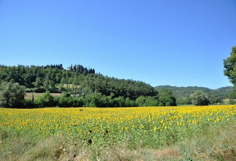Студия Стандарт, Agriturismo I Gelsi Di Santa Cristina