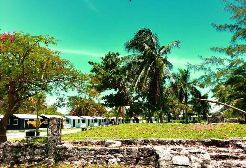Cameră Standard, Eco Cabañas Cancún