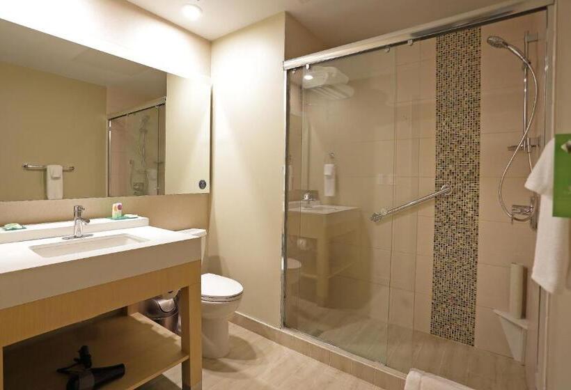 اتاق استاندارد با تخت بزرگ, Hyatt Place Tegucigalpa