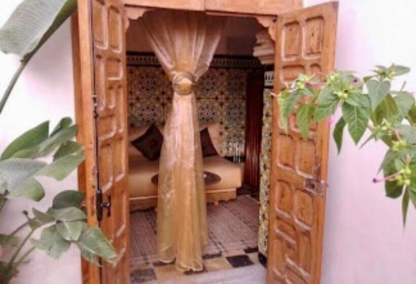 Номер Стандарт, Riad El Bir