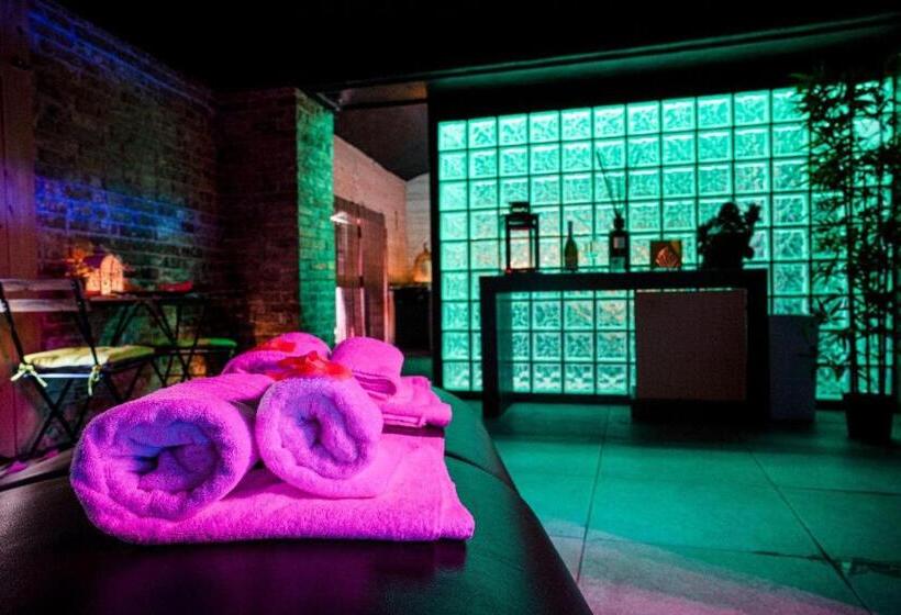 اتاق استاندارد با دسترسی به اسپا, Angioino & Spa