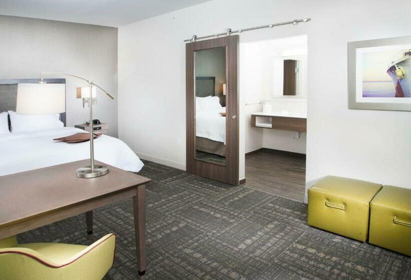 디럭스 스위트 킹 침대, Hampton Inn & Suites La Porte
