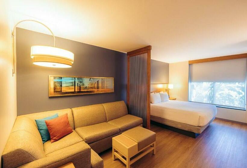 اتاق استاندارد با تخت بزرگ, Hyatt Place San Juan