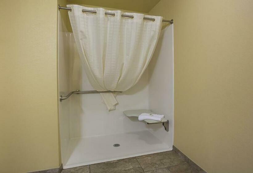 סוויטה, Cobblestone Inn & Suites  Altamont