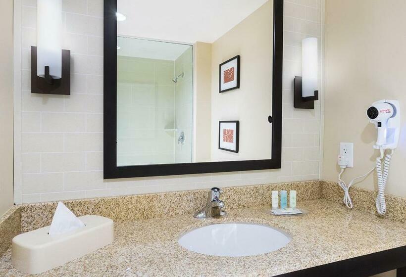 Люкс, Comfort Suites Dubois