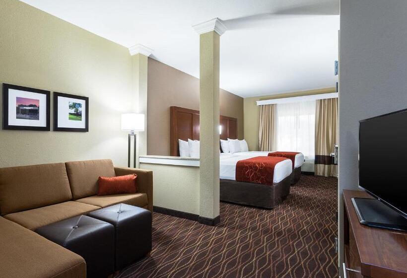 Люкс Адаптированный для Инвалидов, Comfort Suites Dubois