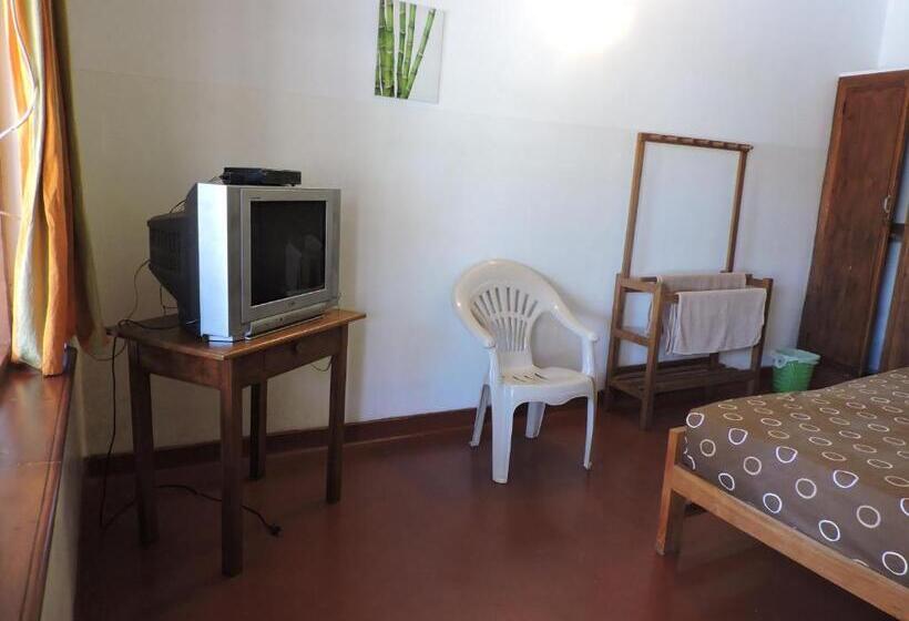 Номер Стандарт, Mango Garden
