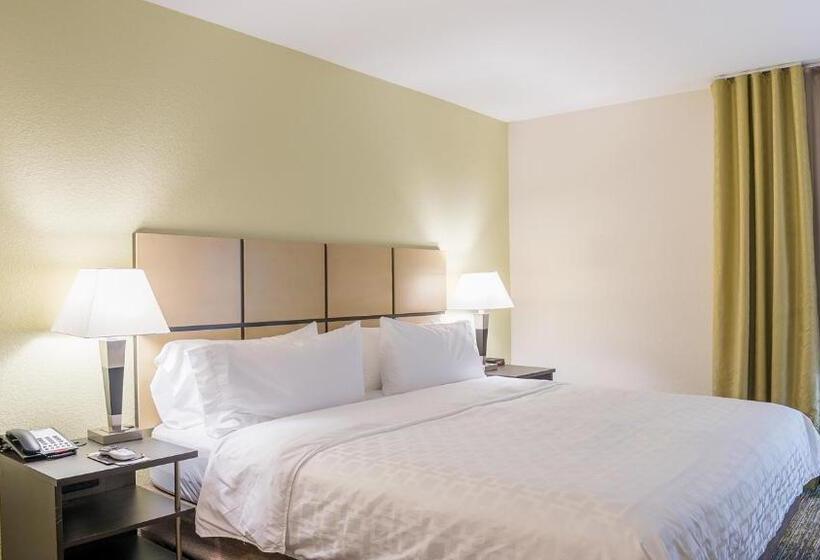 Номер Стандарт Кровать Кинг Адаптированный для Инвалидов, Candlewood Suites Bay City, An Ihg