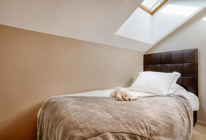 Deluxe Quadruple Room, Le Tremplin