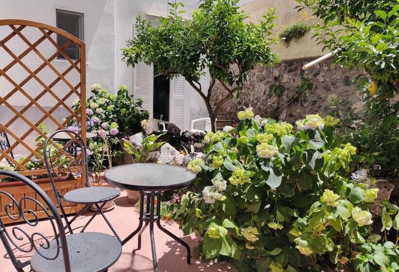 Номер Economy, Villa Cecilia
