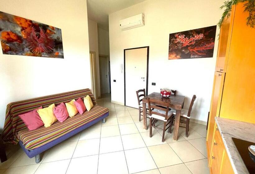 آپارتمان 1 خوابه با چشم‌انداز دریا, Regina Beach Holiday Apartments