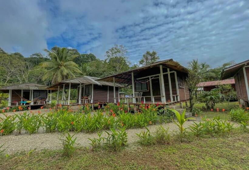 بنگله خانوادگی, Posada Don Aí