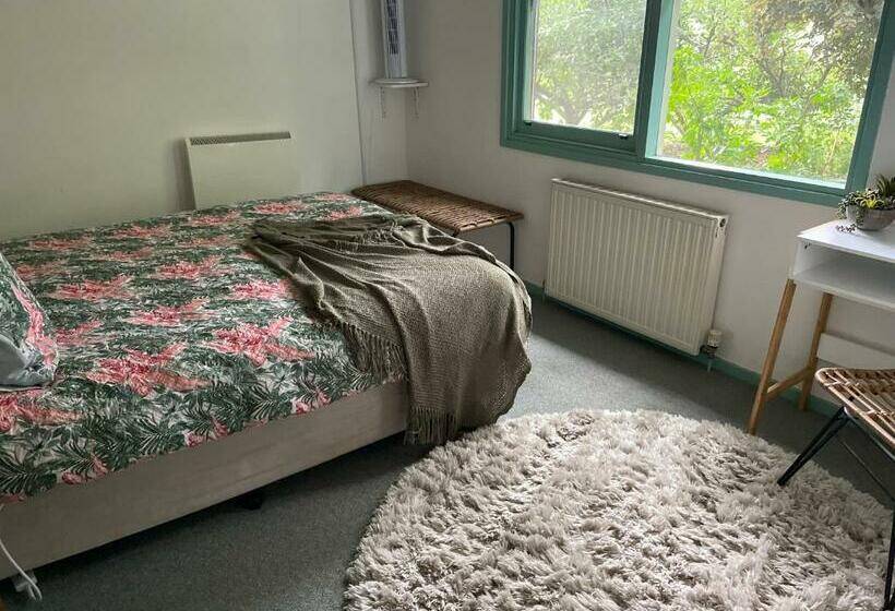 이코노미 룸, Butlers Guesthouse