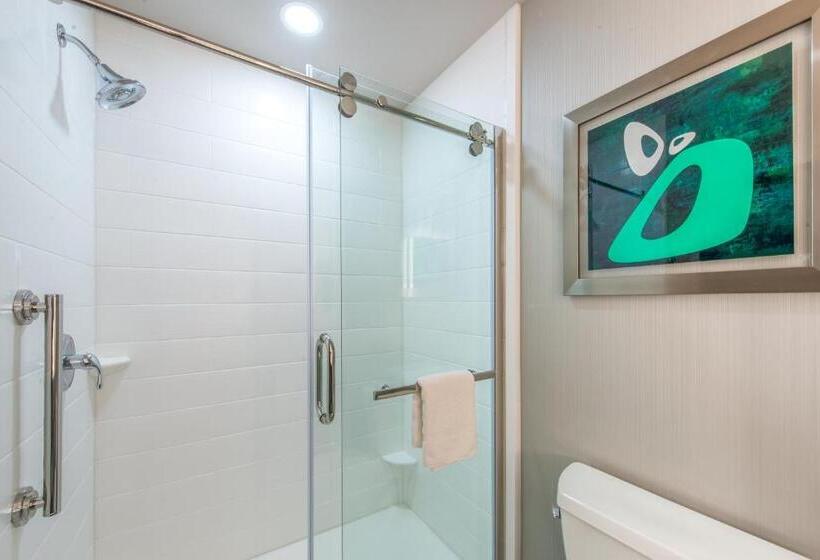 장애인을 위한 스탠다드 룸, Holiday Inn Express Shawnee, An Ihg