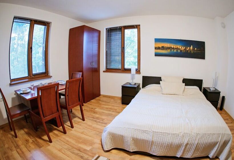 Студия Стандарт, Mountain View Apart