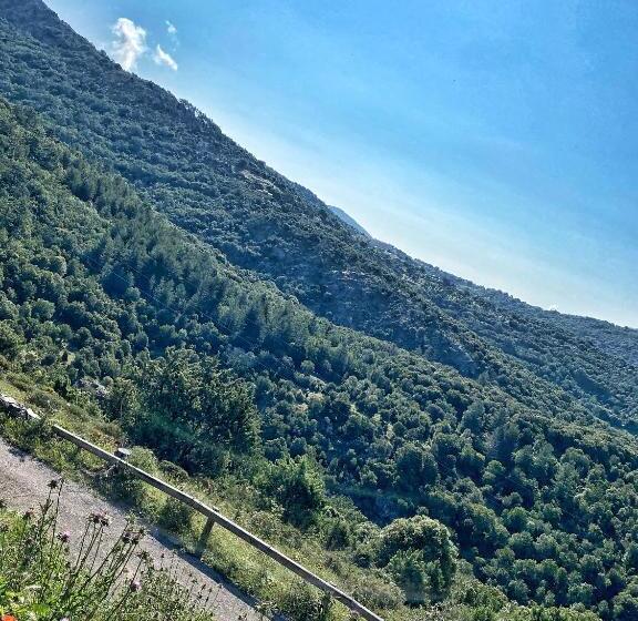 Номер Стандарт, U Pasturellu